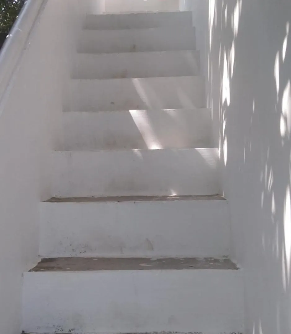 Jestine Homestay Kochi India